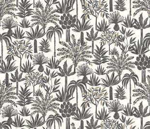 CASELIO_104350957_web