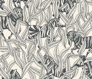 CASELIO_104290997_web