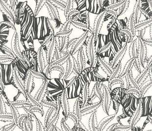 CASELIO_104290997_1_web