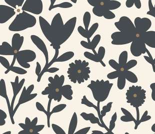 CASELIO_104340914._web