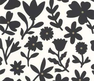 CASELIO_104340914_1_web