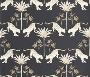 CASELIO_104279237_1_web