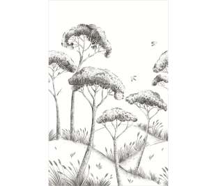 CASELIO_104170967_3_web