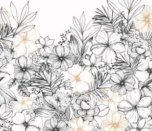 CASELIO_104160956._web