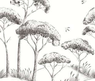 CASELIO_104170967_web