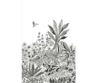 CASELIO_104140934_3_web