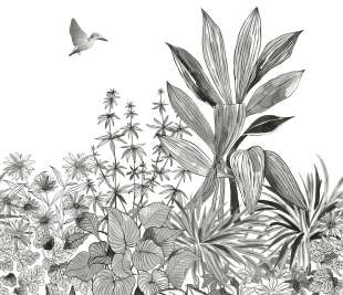 CASELIO_104140934_web