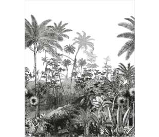 CASELIO_104150945_3_web