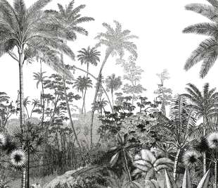 CASELIO_104150945_web