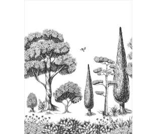 CASELIO_104130923_3_web