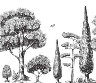 CASELIO_104130923_web