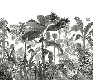 CASELIO_104120912_web