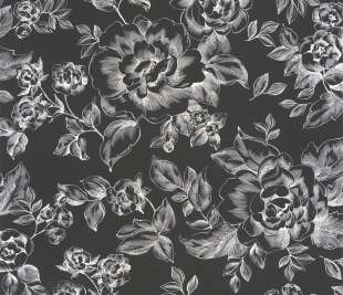 CASELIO_69849122_1_web