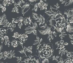 CASELIO_69849122_web