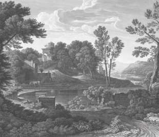 Ancient Riverside Grove