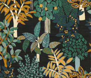 CASAMANCE_75940508_web