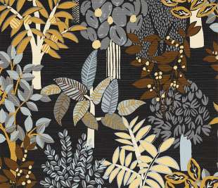 CASAMANCE_75940610_web