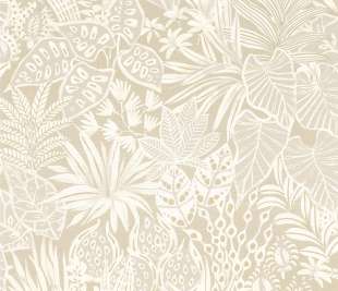 CASAMANCE_75950712_web