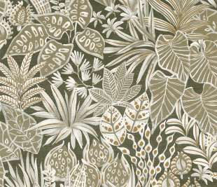 CASAMANCE_75950814_web