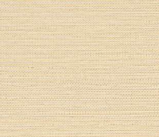 CASAMANCE_75971834_web