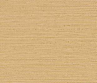 CASAMANCE_75971936_web