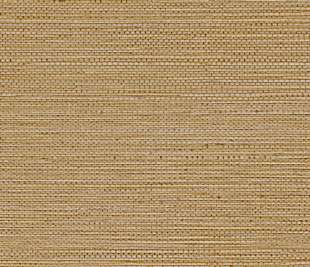 CASAMANCE_75972140_web