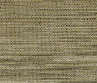 CASAMANCE_75972242_web