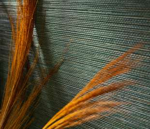 CASAMANCE_GOLFE_BENGALE_75972344_web