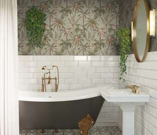 RM91762-Ateles-Sage-Room