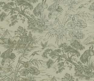 TH91704-Natoru-Sage-shiny