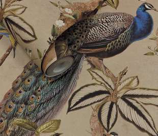 RL91740-Cassia-taupe-rollshot