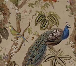 TH91740-Cassia-Taupe