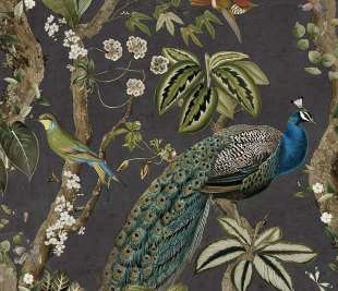 TH91741-Cassia-Charcoal