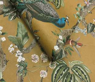 RL91743-Cassia-ochre-rollshot