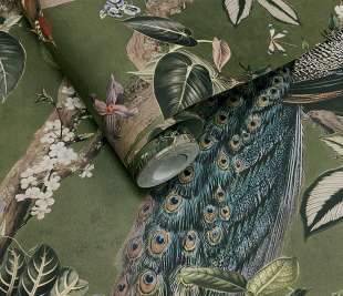 RL91745-Cassia-green-rollshot