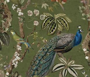 TH91745-Cassia-Green