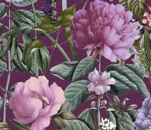 TH99428-Botanicus-berry