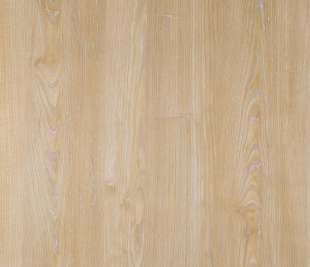 CHENE PAILLE PBS33