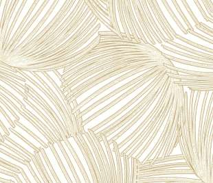 CASADECO_87421057_web