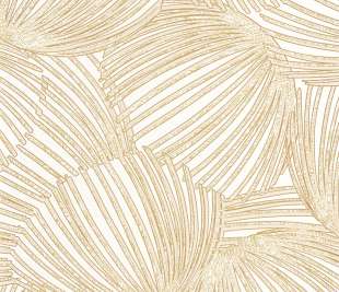 CASADECO_87421057_1_web