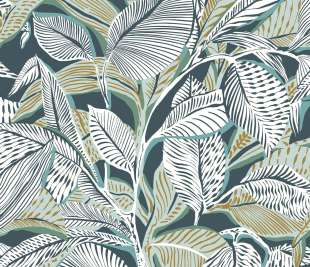 CASADECO_87417785_web