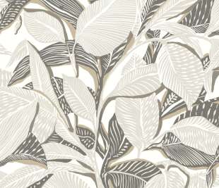 CASADECO_87419865_1_web