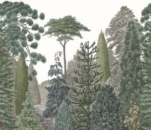 CASADECO_87457201_web