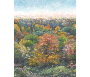 CASADECO_88973705_web