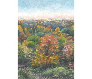 CASADECO_88973703_web