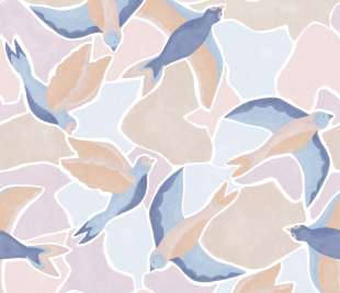 CASADECO_88996403_1_web