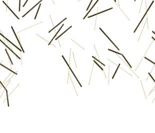 CASADECO_89069805_1_web