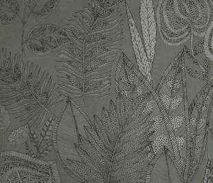 65575_Pianta_Verde_800x800