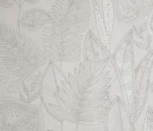 65576_Pianta_Avorio_800x800