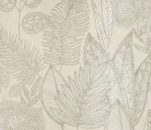 65580_Pianta_Torrone_800x800